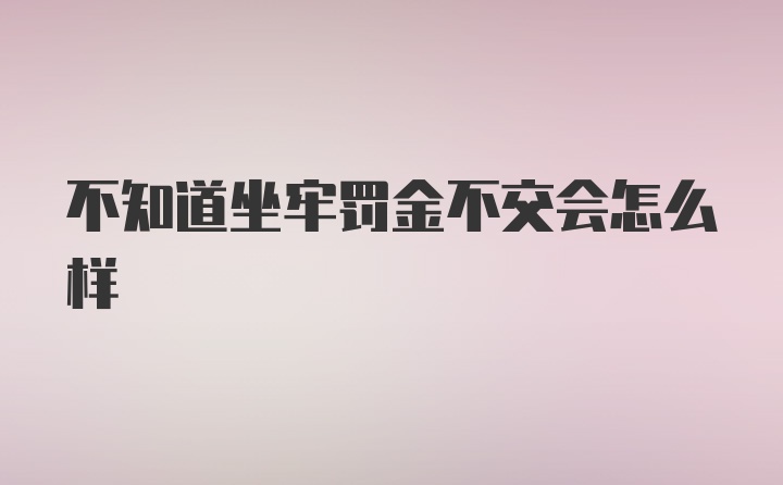 不知道坐牢罚金不交会怎么样