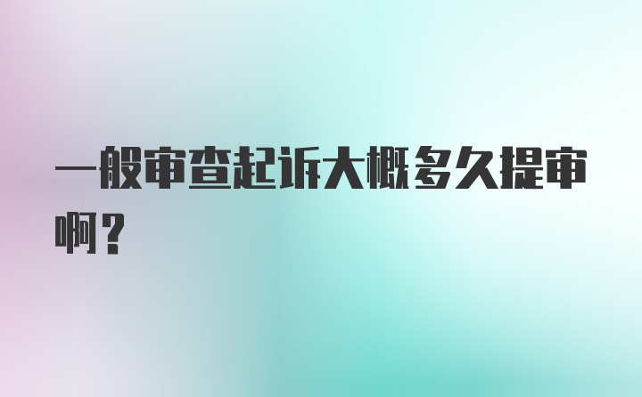 一般审查起诉大概多久提审啊？