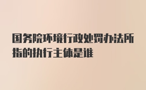 国务院环境行政处罚办法所指的执行主体是谁