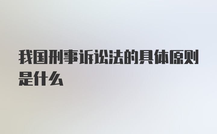 我国刑事诉讼法的具体原则是什么