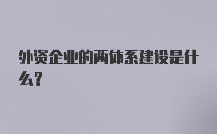 外资企业的两体系建设是什么？