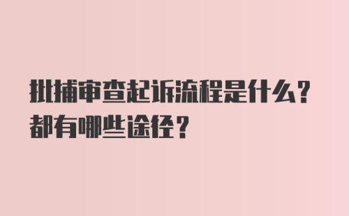 批捕审查起诉流程是什么？都有哪些途径？