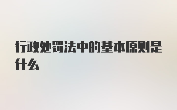 行政处罚法中的基本原则是什么