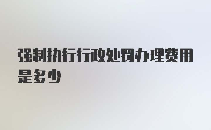 强制执行行政处罚办理费用是多少