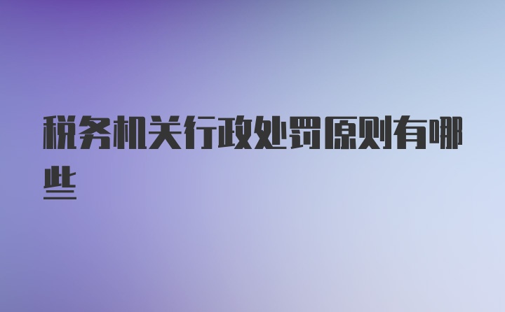 税务机关行政处罚原则有哪些