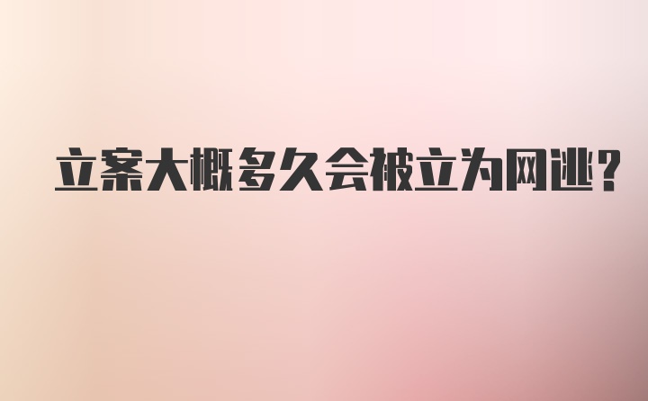 立案大概多久会被立为网逃？