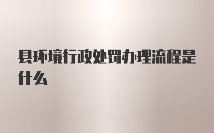 县环境行政处罚办理流程是什么