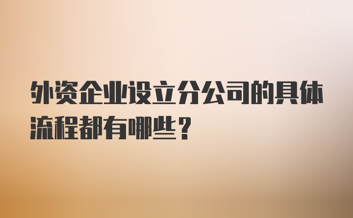 外资企业设立分公司的具体流程都有哪些？