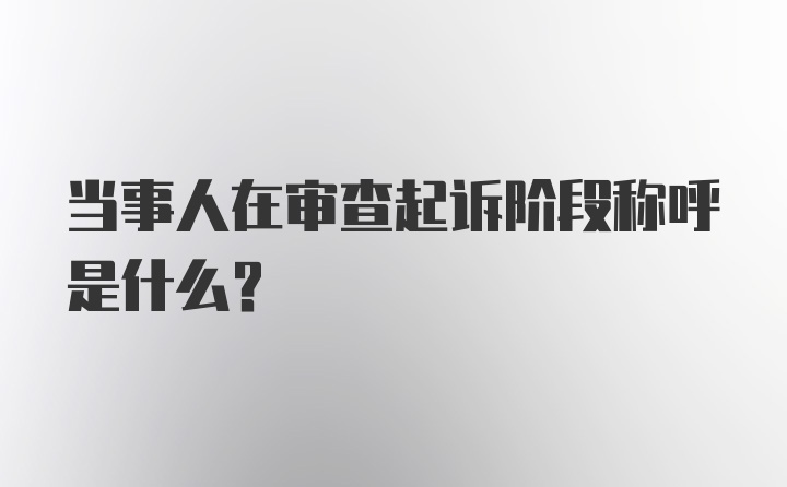 当事人在审查起诉阶段称呼是什么?