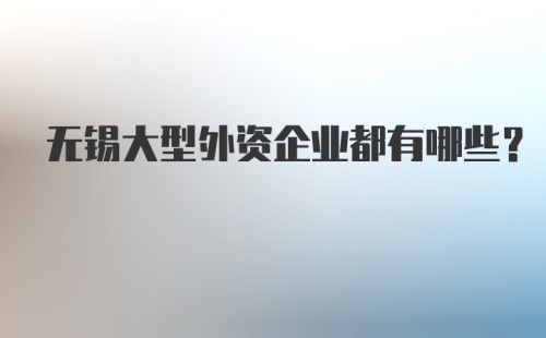 无锡大型外资企业都有哪些？