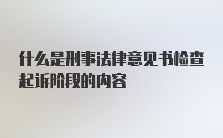 什么是刑事法律意见书检查起诉阶段的内容