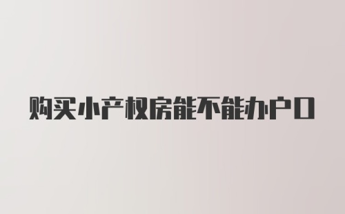 购买小产权房能不能办户口