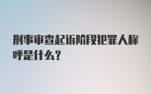 刑事审查起诉阶段犯罪人称呼是什么？