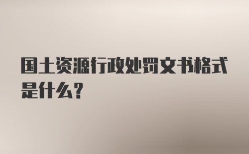 国土资源行政处罚文书格式是什么？