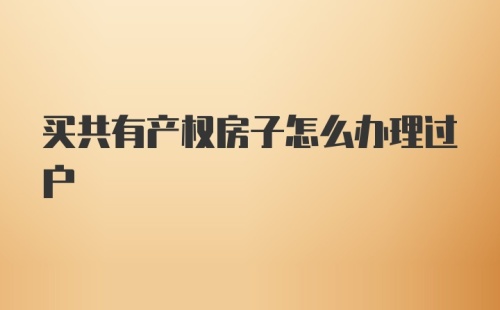 买共有产权房子怎么办理过户