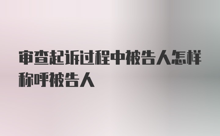 审查起诉过程中被告人怎样称呼被告人