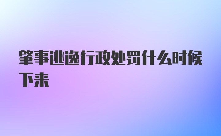 肇事逃逸行政处罚什么时候下来