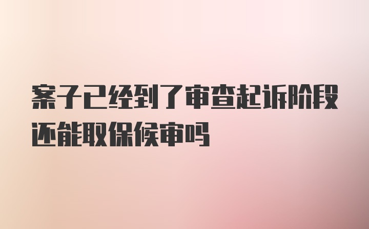 案子已经到了审查起诉阶段还能取保候审吗