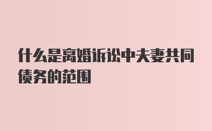 什么是离婚诉讼中夫妻共同债务的范围