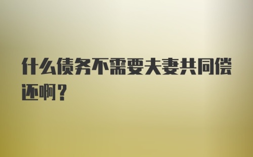 什么债务不需要夫妻共同偿还啊？