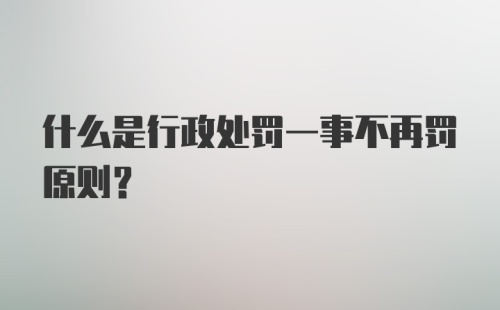 什么是行政处罚一事不再罚原则？