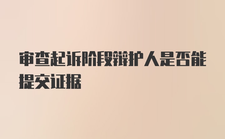 审查起诉阶段辩护人是否能提交证据