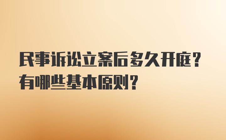 民事诉讼立案后多久开庭？有哪些基本原则？