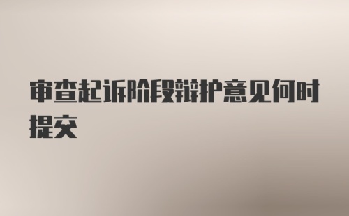 审查起诉阶段辩护意见何时提交