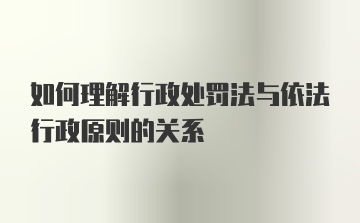 如何理解行政处罚法与依法行政原则的关系