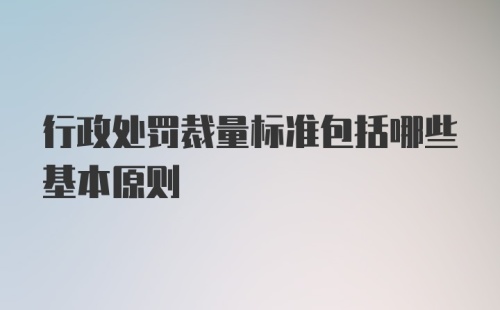 行政处罚裁量标准包括哪些基本原则