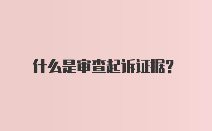 什么是审查起诉证据？