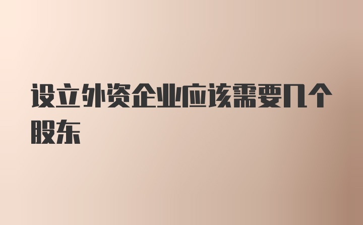 设立外资企业应该需要几个股东