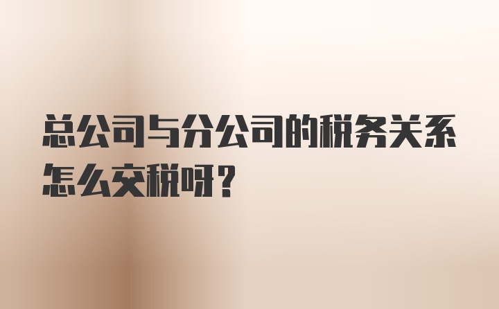 总公司与分公司的税务关系怎么交税呀?