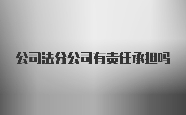 公司法分公司有责任承担吗