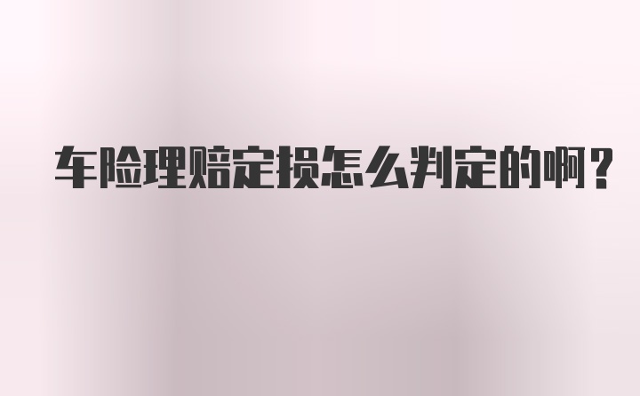 车险理赔定损怎么判定的啊？