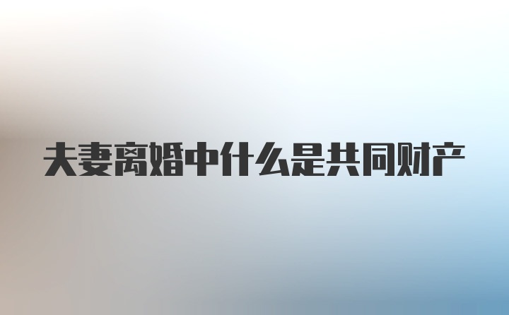 夫妻离婚中什么是共同财产