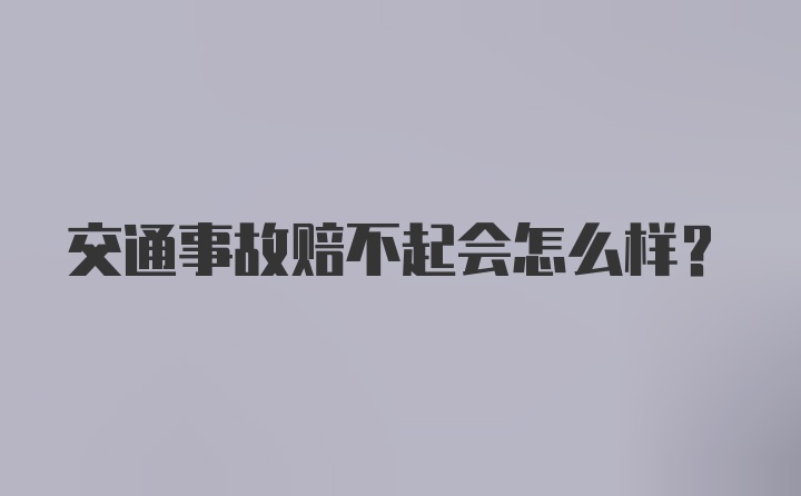 交通事故赔不起会怎么样？