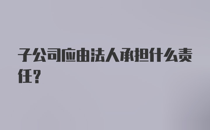 子公司应由法人承担什么责任?