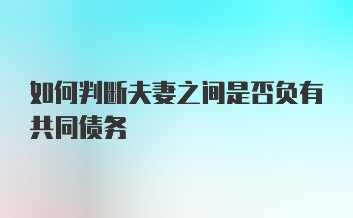 如何判断夫妻之间是否负有共同债务