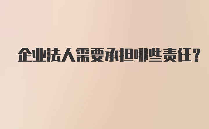 企业法人需要承担哪些责任？