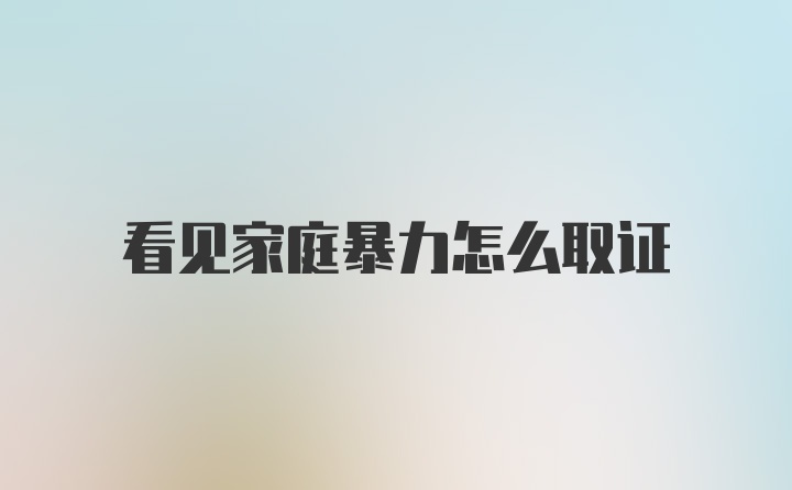 看见家庭暴力怎么取证