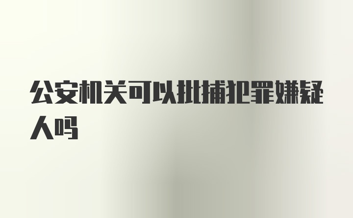 公安机关可以批捕犯罪嫌疑人吗