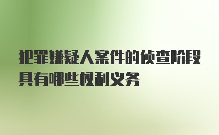 犯罪嫌疑人案件的侦查阶段具有哪些权利义务