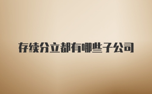 存续分立都有哪些子公司