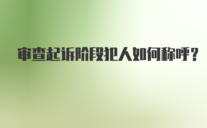 审查起诉阶段犯人如何称呼？