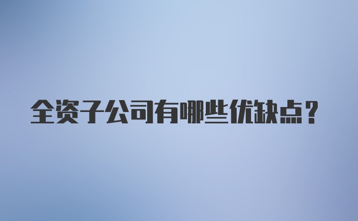 全资子公司有哪些优缺点?