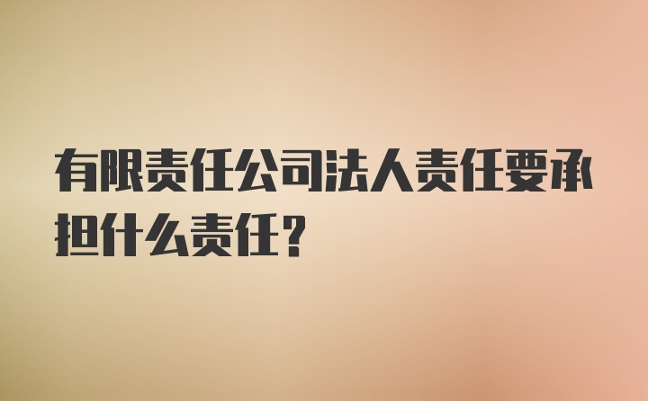 有限责任公司法人责任要承担什么责任？