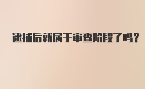 逮捕后就属于审查阶段了吗?