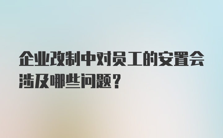 企业改制中对员工的安置会涉及哪些问题?