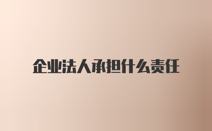 企业法人承担什么责任